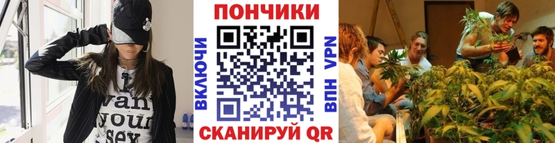 shop как зайти  Фролово  МАРИХУАНА Bruce Banner 